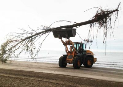 Lavori eseguiti da Verde Ambiente - Servizi ambientali per aziende - Servizi ambientali per privati